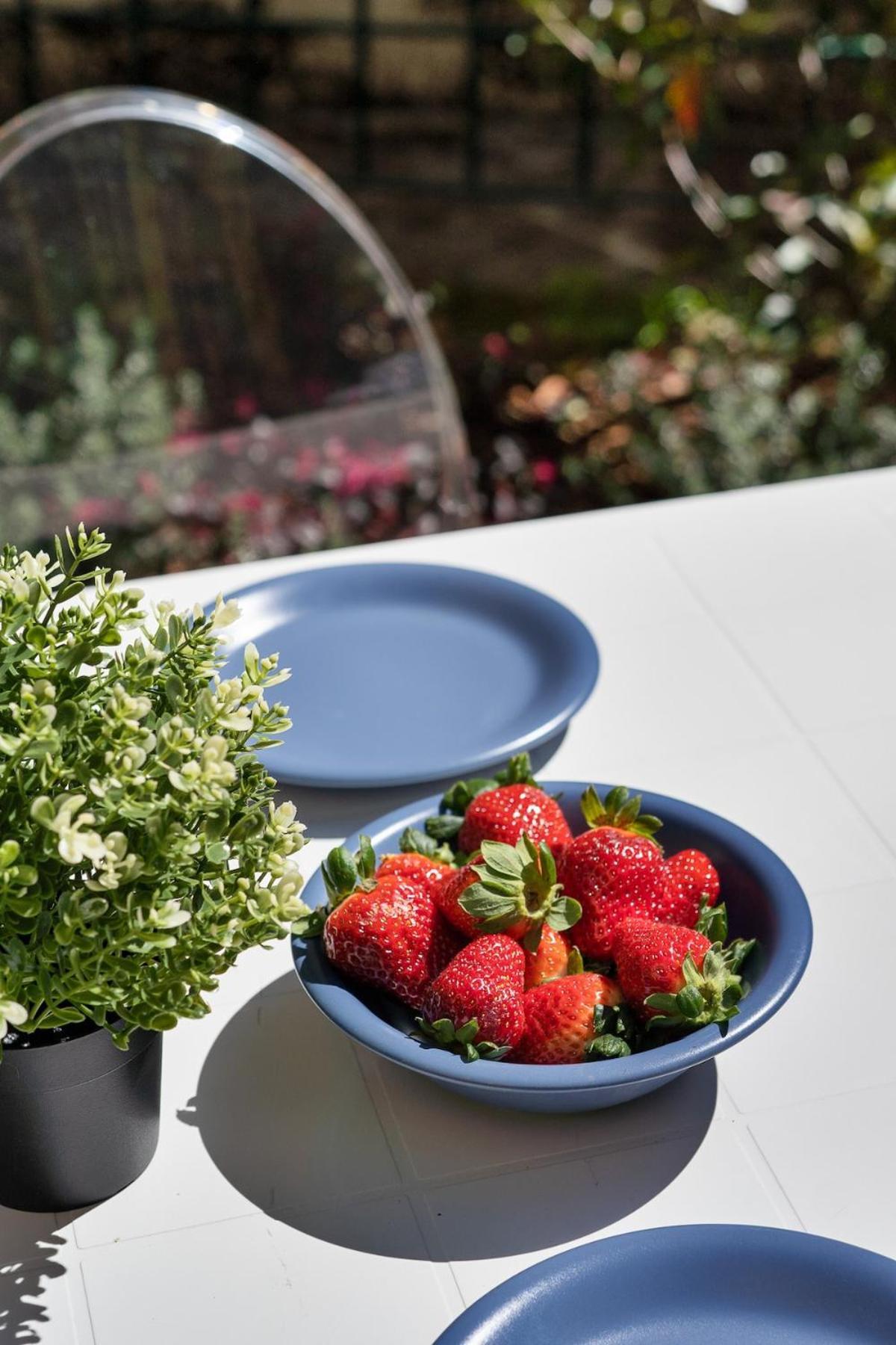 Clima-netflix-wifi-garage - Garden * Rom